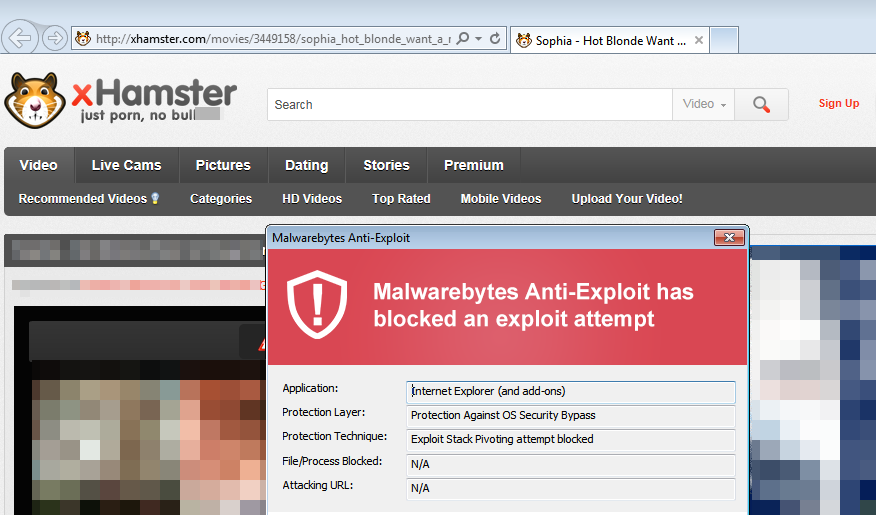Xhamstee - Malvertising Strikes on Adult Site xHamster Again | Malwarebytes Labs