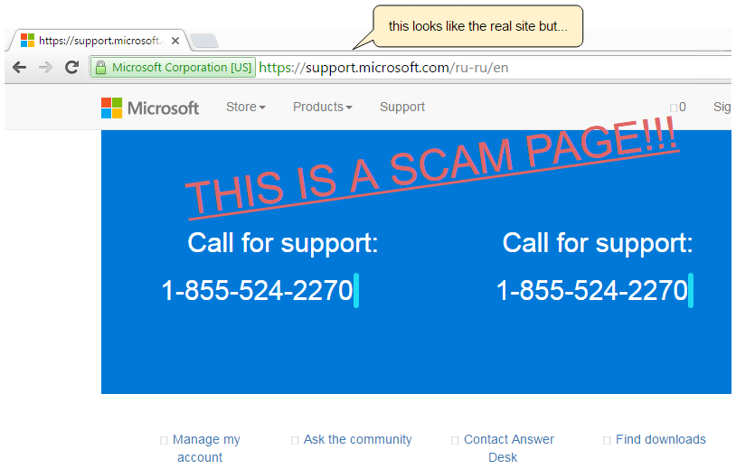 Scam Alert] Fake Microsoft Support Email