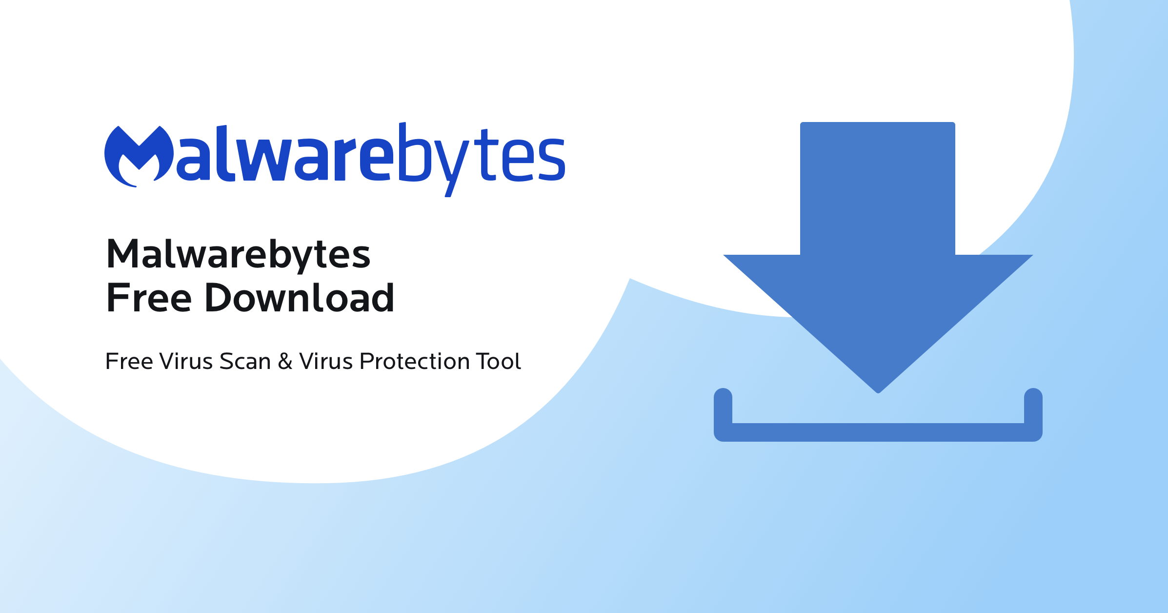 Best Antivirus Software for 2024 [Free & Premium Protection]